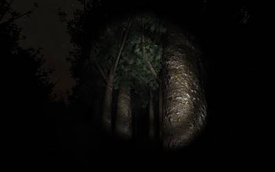 Палочник / Slender: The Eight Pages v0.9.7 (2012 - Eng) + Портативная версия / Portable